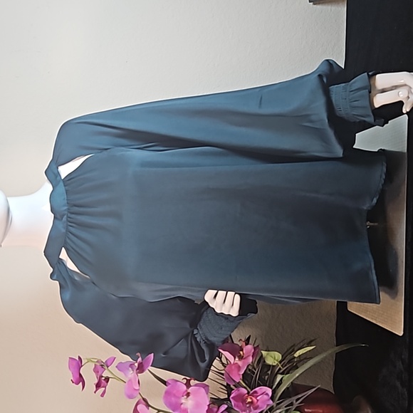 Banana Republic Tops - Banana Republic Bow Back Long Balloon Sleeve Top Teal XL